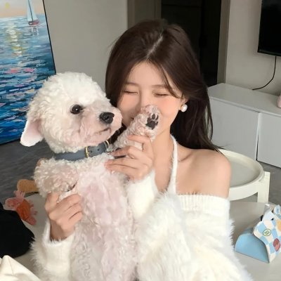 灰姑娘的全新冒险